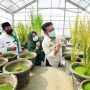 Uu Ruzhanul Dampingi Menteri Pertanian dalam Kunker di Jabar