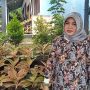 SMP Tunas Harapan Cibatu Kembangkan Budidaya Bunga Hias