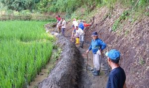 Desa Sukajadi Laksanakan Program PKT, Antusiasme Masyarakat Luar Biasa