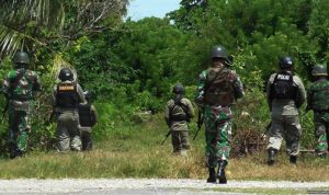 Buru Teroris, Pasukan TNI-Polri Diterjunkan ke Ilaga