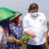Tingkatkan Produktivitas, Menko Airlangga Dukung Smart Farming Petani Milienal