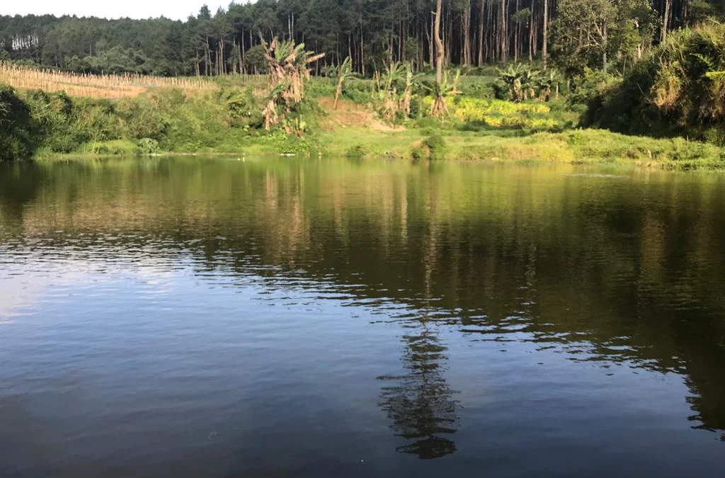 Desa Cikandang Punya Lokasi Sumber Air yang Bisa Dikembangkan Jadi Wisata