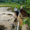 Embung Desa Situsari Jebol Tak Tahan Dengan Tingginya Aliran Air