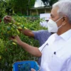 Garut Jadi Pilot Project Pengembangan Program Kemitraan Closed Loop Agribisnis Hortikultura