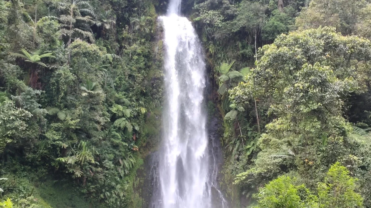 Curug Cisarua di Desa Sukamurni, Destinasi Wisata yang Terlupakan