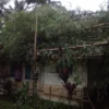 Puting Beliung di Desa Kertajaya Garut Menyebabkan Rumah dan Fasilitas Umum Rusak