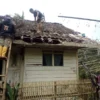 Puting Beliung Menyebabkan Rumah Warga Desa Kertajaya Rusak Ditimpa Pohon