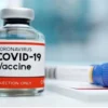 Vaksin Merah Putih dan Vaksin BUMN Siap Diproduksi 2022