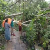 Angin Puting Beliung Merusak 29 Rumah di Ciamis