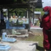 Makam Upin Ipin Viral, Benarkah Berasal dari Indonesia?