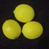 Lemon, Buah Asam Sejuta Manfaat Yang Bagus Untuk Kesehatan