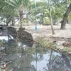 Pantai Barat Pangandaran Jadi Tempat Pembuangan Limbah, Ketua DPRD: Solusinya Membangun Instalasi Pengolahan Air Limbah