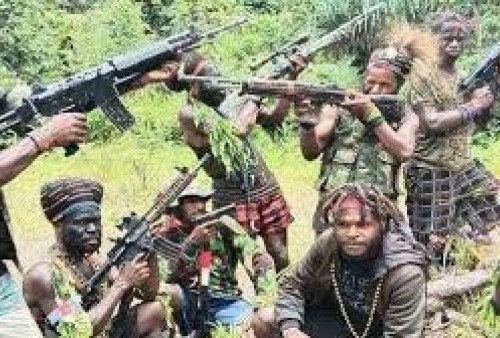 TPNPB-OPM Mengaku Tembak 2 Pesawat Komersial, Polda Papua Bantah dan Itu Bentuk Propaganda
