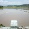 Sawah di Dekat Selokan Cibudug Kerap Direndam Banjir