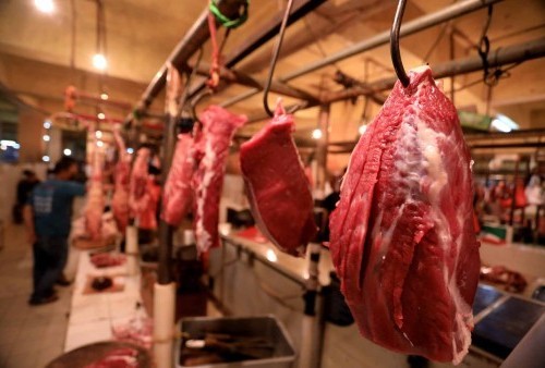 Marak Daging Oplosan, Begini Cara Pintar Membedakan Daging Sapi dengan Daging Babi