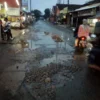 Warga Desa Leuwigoong Kerap Timbun Jalan Kabupaten yang Berlubang