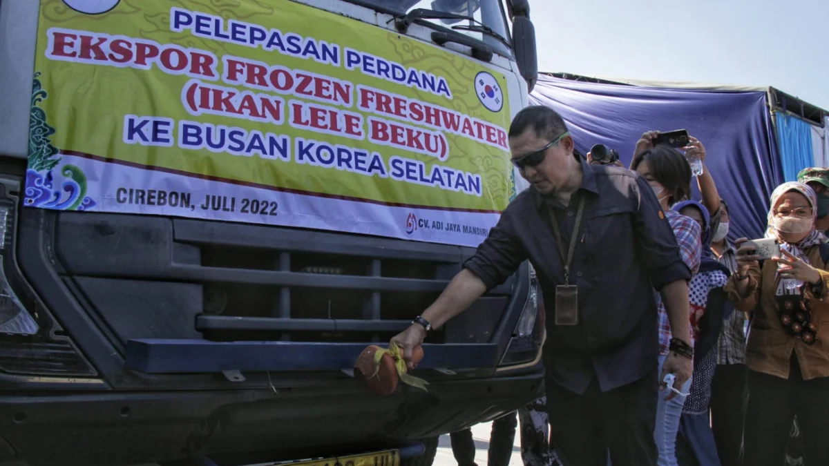 DKP Ekspor 1 Container Ikan Lele Hasil Petani Milenial ke Korsel