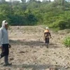Warga Hilang di Hutan Sumurkondang Cirebon.