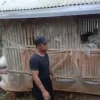 Ajukan Bantuan ke Dinas Peternakan Garut, Warga Desa Sindangsari Akan Kembangkan Ternak Domba dan Unggas