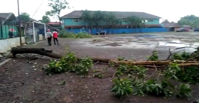 Dahan pohon patah akibat sapuan angin kencang di Kampung Jati, Desa Cintarakyat