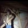 Petugas damkar UPT Limbangan mengevakuasi sarang tawon raksasa di Desa Keresek, Kecamatan Cibatu