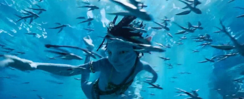 Fakta Dibalik Film Avatar 2, Film Terlaris hingga Gunakan Teknologi Bawah Air yang Luar Biasa