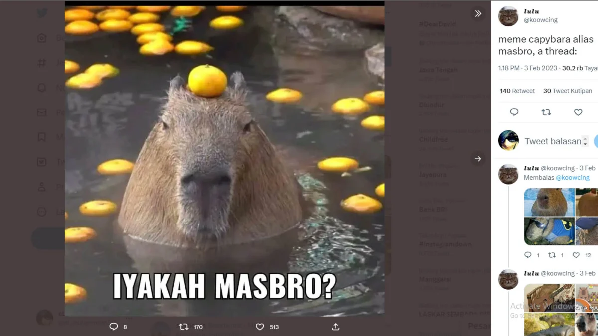 Inilah Alasan Kenapa Kapibara disebut "Masbro" ?