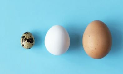 5 Jenis Telur yang Bisa Dimakan dan Kaya Kandungan Gizi