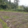 Akibat Hujan Deras, Lahan Pertanian Warga Sukamenak Tertimbun Material Tanah