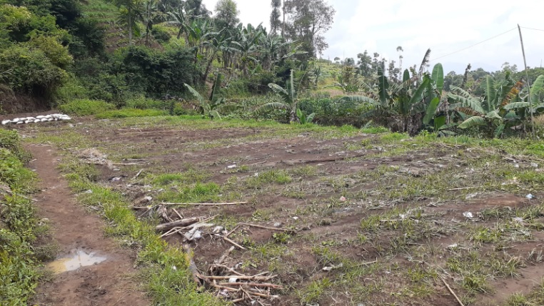 Akibat Hujan Deras, Lahan Pertanian Warga Sukamenak Tertimbun Material Tanah