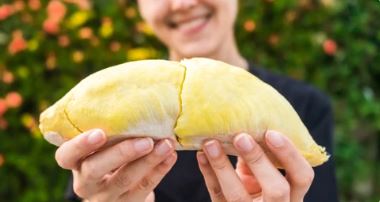 Garut Ternyata Ada Wisata Kebun Durian bisa Petik Sendiri