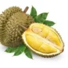Manfaat Buah Durian yang Miliki Aroma Kuat, Momor 7 Bagus Untuk Kulit (foto Pinterest)