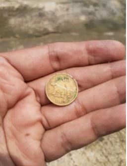 Uang Koin Kuno Rp50 Bergambar Komodo Di Cari Oleh Para Kolektor