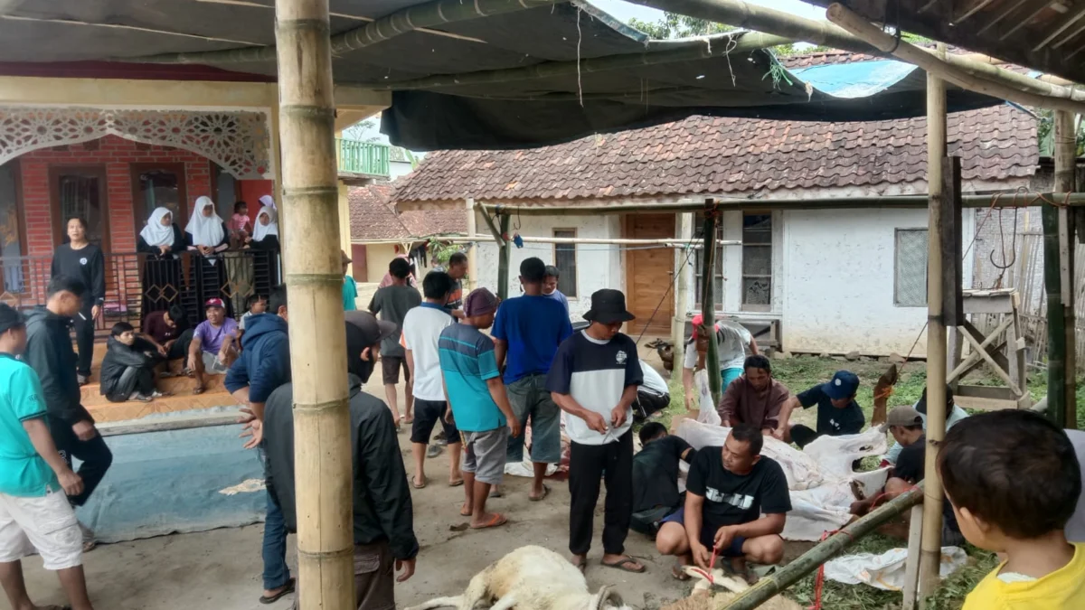 Momen kurban di Kabupaten Garut, masyarakat muslim memotong domba, sapi dan kambing dalam hari raya kurban
