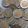 Jual Uang Koin Kuno Rp 1000 Bergambar Kelapa Sawit Dengan Harga yang Fantastis, Gini Caranya!