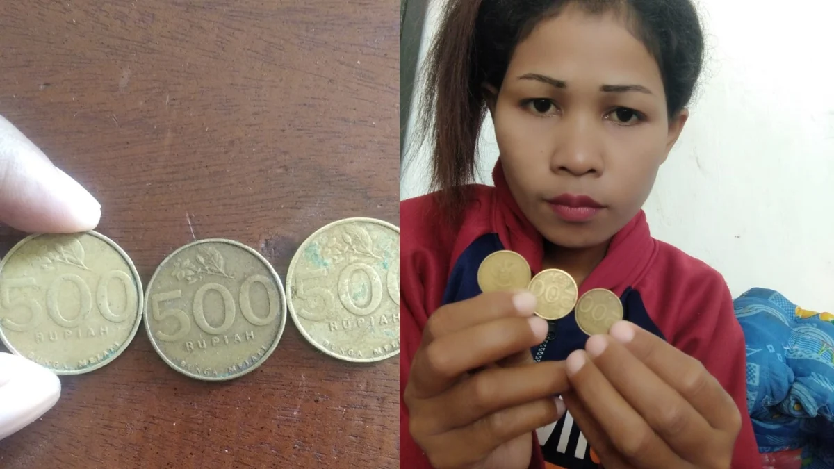 Warga Sumba Barat Arlince mempunyai tiga buah koin kuno 500 rupiah gambar Melati. Dijual Rp100 juta