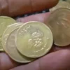 Meledak! Uang Koin Kuno Rp 500 Melati Bisa Ditukar dengan Mobil? Simak Caranya Disini