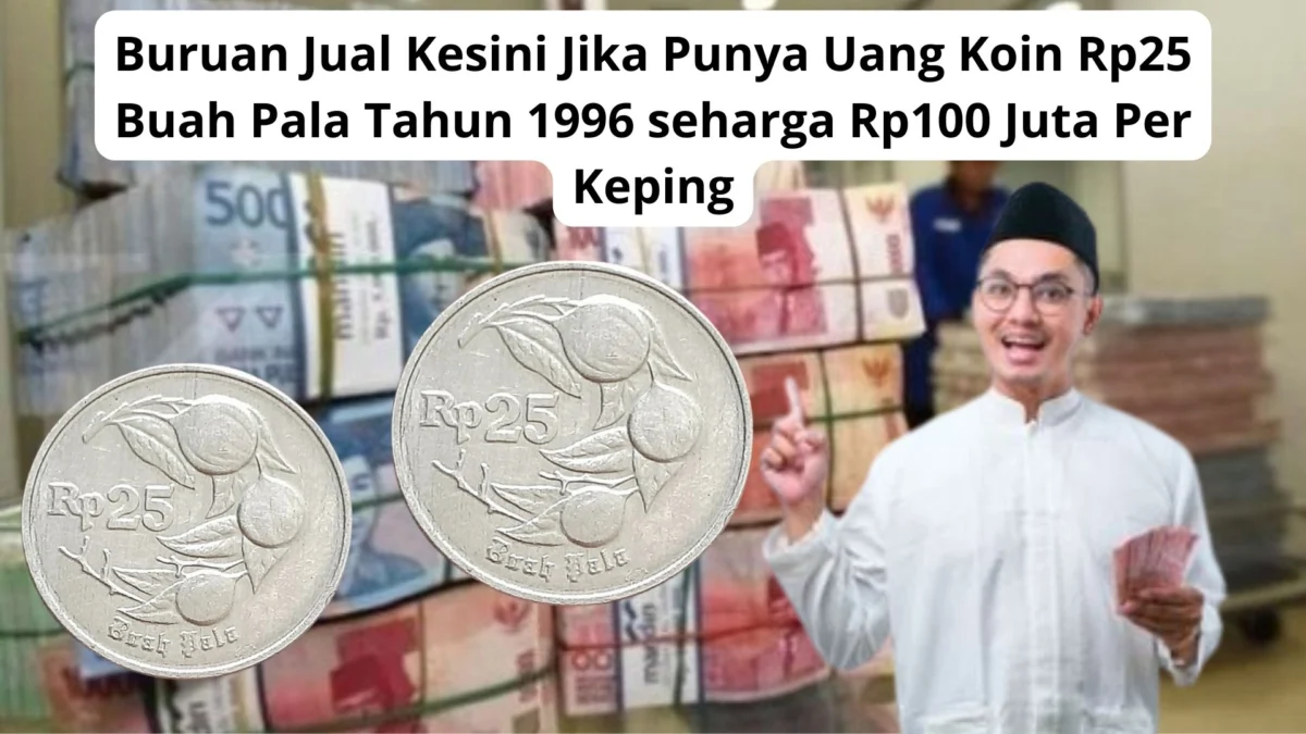 Buruan Jual Kesini Jika Punya Uang Koin Rp25 Buah Pala Tahun 1996 seharga Rp100 Juta Per Keping