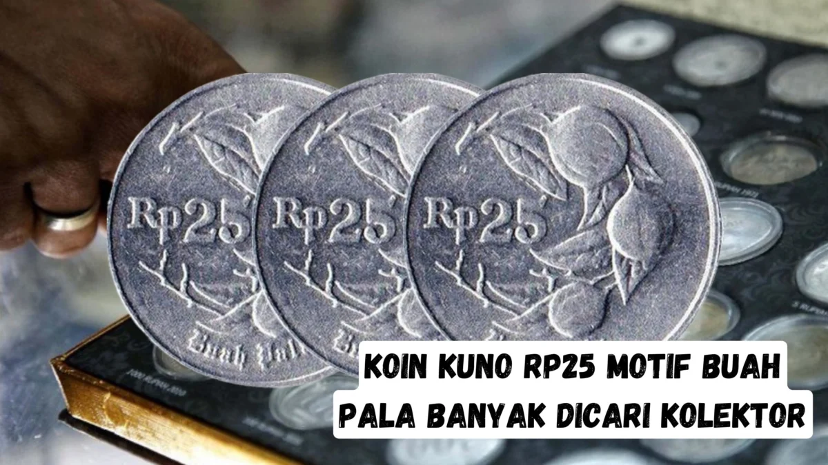 Koin Kuno Rp25 Motif Buah Pala Banyak Dicari Kolektor