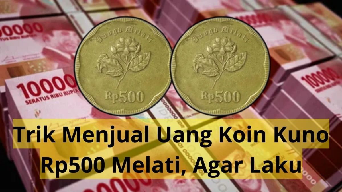Ini Trik Menjual Uang Koin Kuno Rp500 Melati Agar Dihargai Ratusan Juta Rupiah!