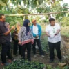 Kolaborasi Pembangunan Ekonomi Inklusif pada Masyarakat Perhutanan Sosial di Provinsi DI. Yogyakarta