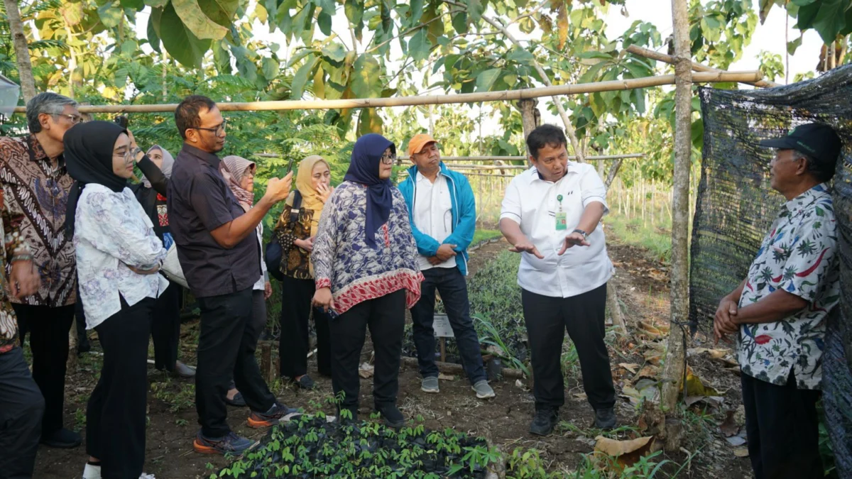 Kolaborasi Pembangunan Ekonomi Inklusif pada Masyarakat Perhutanan Sosial di Provinsi DI. Yogyakarta