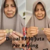 Yayuk warga Kabupaten Jombang jual koin kuno Rp10 juta per keping