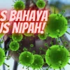 Gejala Virus Nipah Yang Sangat Berbahaya, Cek Informasi Virus Nipah Disini