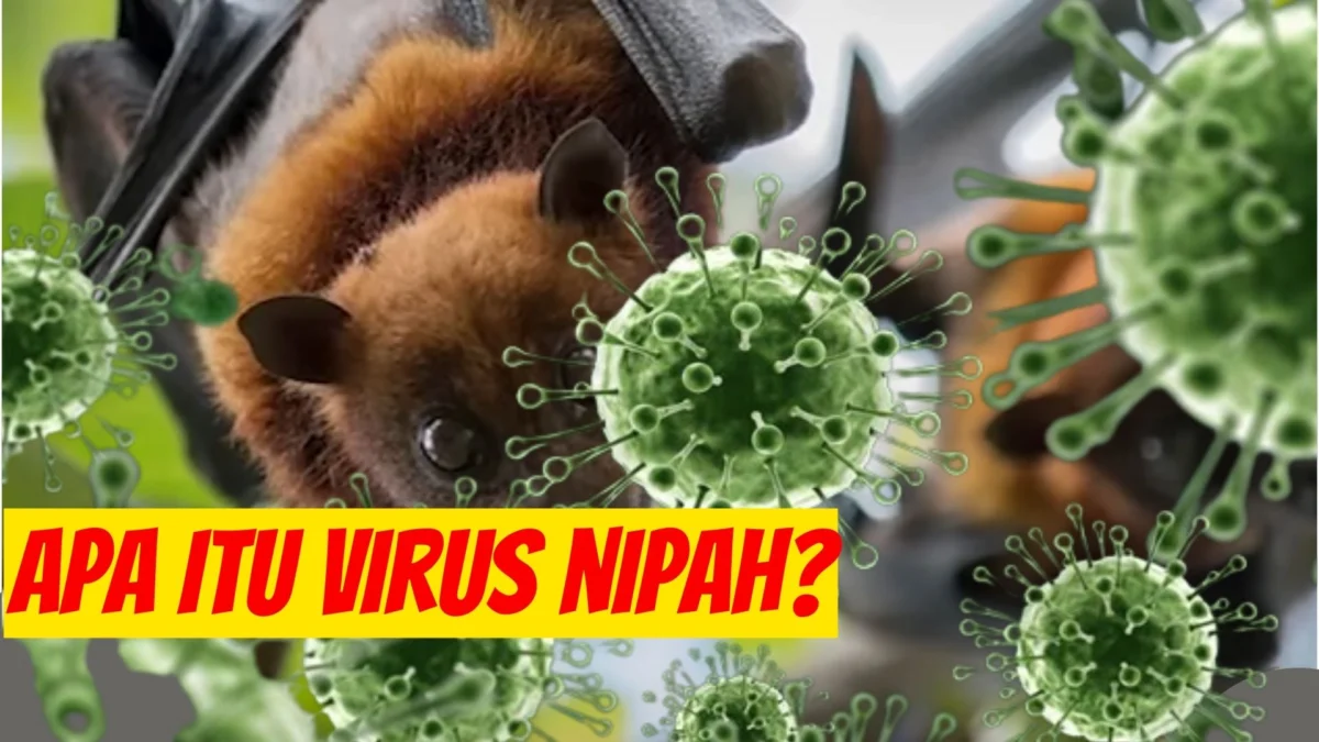 Pandemi Tersembunyi: Mengenal Virus Nipah Lebih Berbahaya Dari Covid-19, Cek Faktanya Disini!