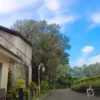 Per Malam Rp 300 Ribu, Inilah 5 Hotel Puncak Bogor yang Dilengkapi View Indah