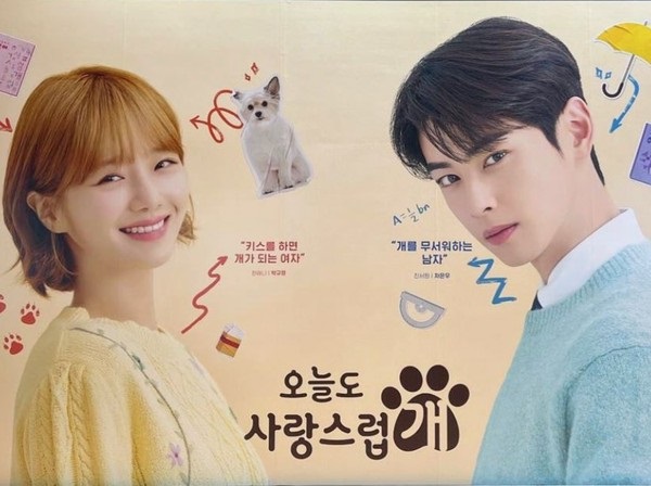 Drama Korea A Good Day To Be A Dog Sudah Tayang, Begini Spoiler Kisahnya!