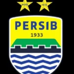 Persib Bandung Punya 8 Pemain Asing Dan Siapa Yang Akan Dicoret Persib