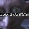 Misteri Kata "Dobby" di TikTok dan Maknanya dalam Konteks Kesehatan Mental