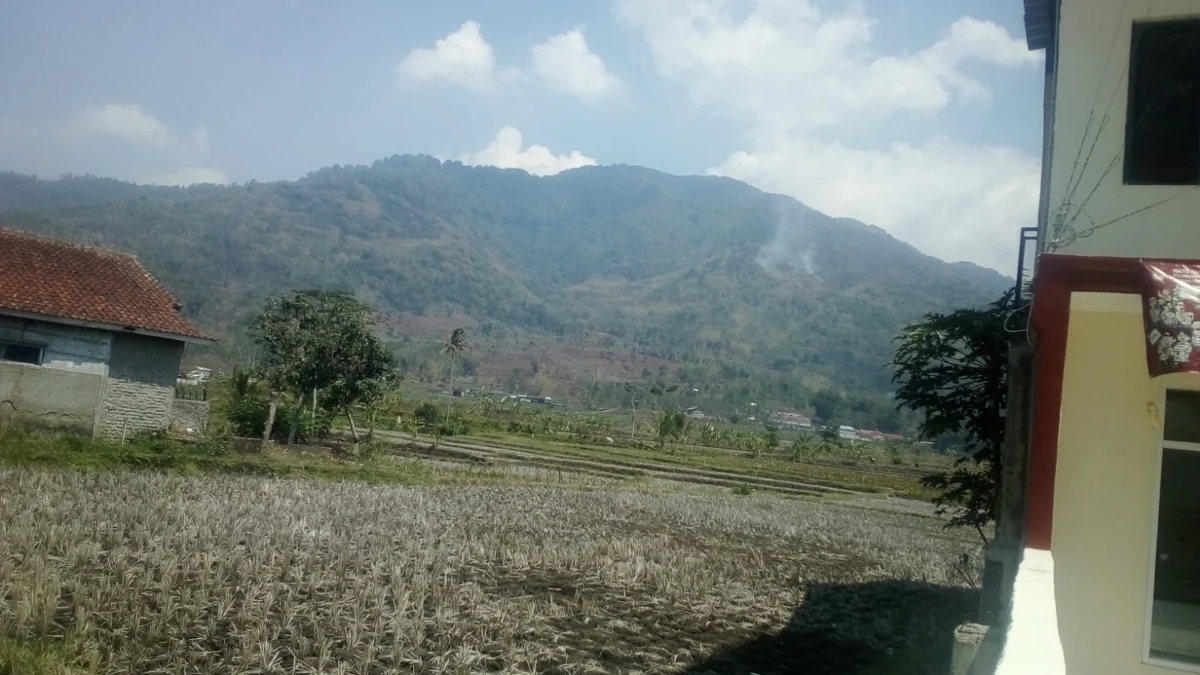 Gunung Sadakeling di Sukasono Kecamatan Sukawening terbakar, Kamis (21/12).(pepen apendi)